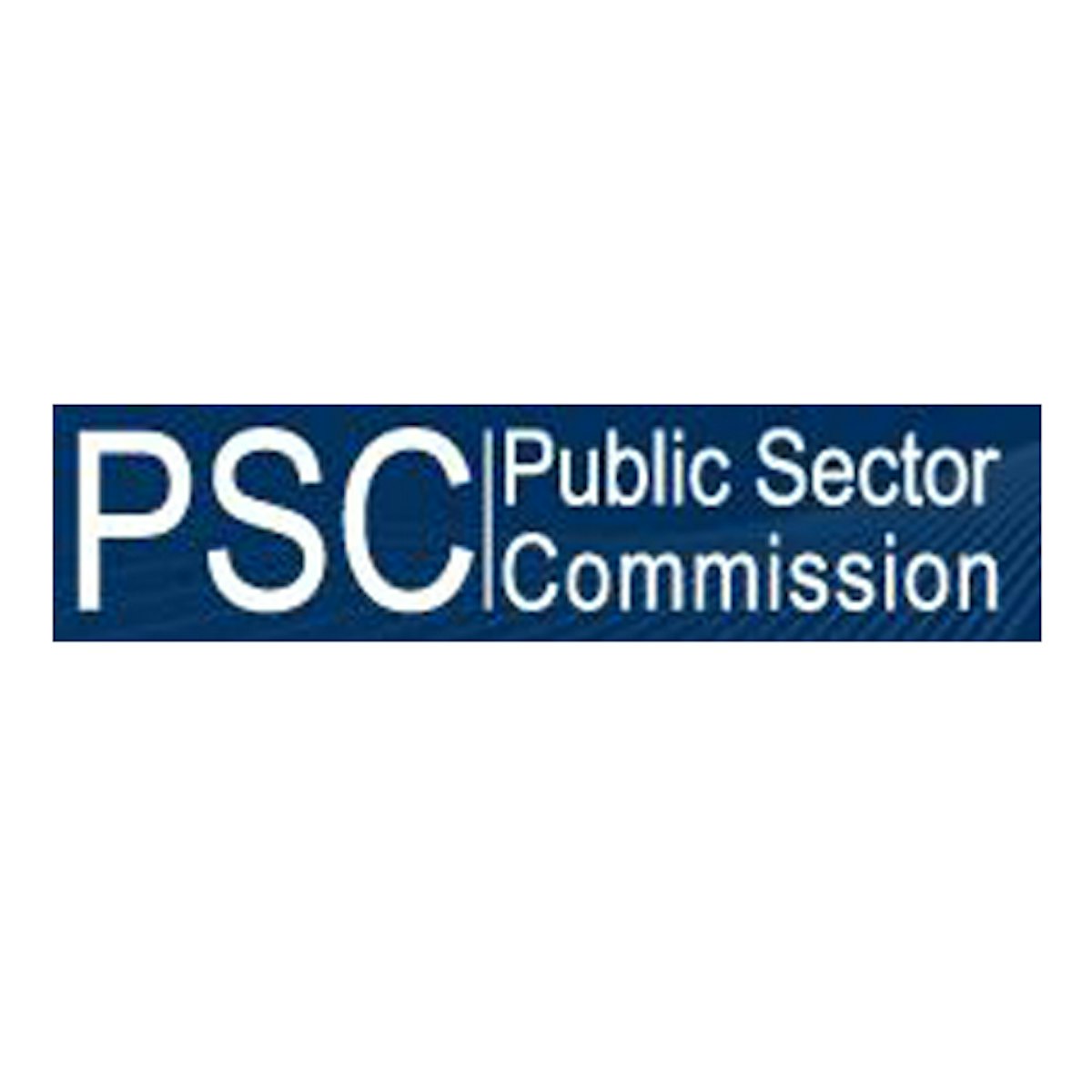 public sector commission