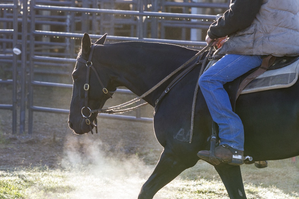 ASHS Novice -2720