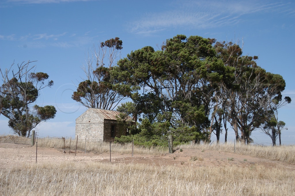 wheatleigh school